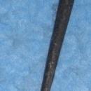 Y1027 Vintage Collectable Skeleton Key