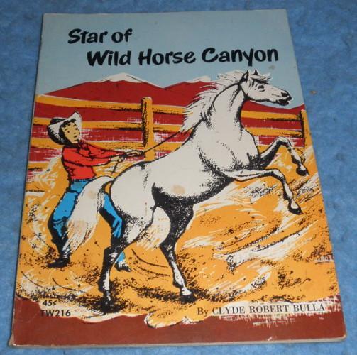 Book Star of Wild Horse Canyon
