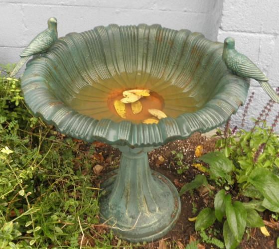 Bird Bath