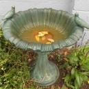 Bird Bath