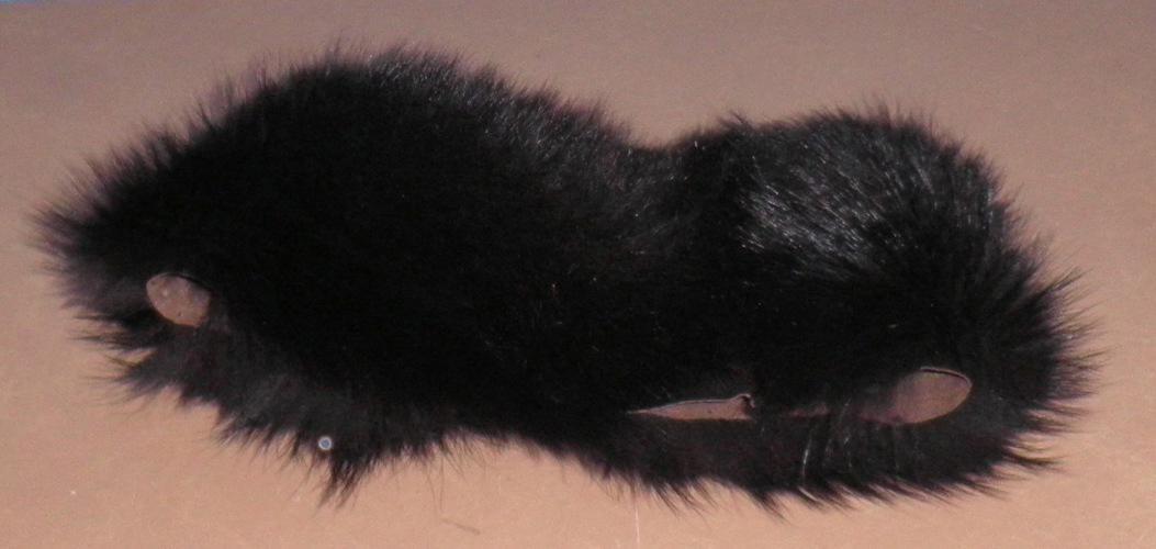 Cuff -Black Fur B4746
