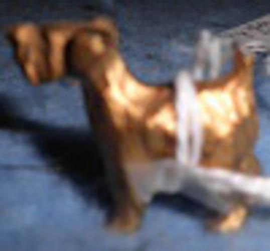 Dog - Tiny - Gold Metal B4621
