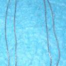 Double Necklace B3153