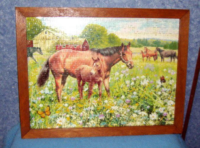 Framed Horse Puzzle Y778