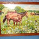 Framed Horse Puzzle Y778