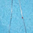 Necklace - Small Multi Beads B3143