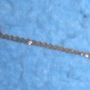 Necklace - Star B3160