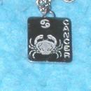Necklace- Cancer B3152