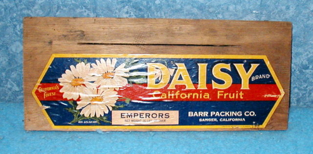 Daisy Crate End - Colorful
