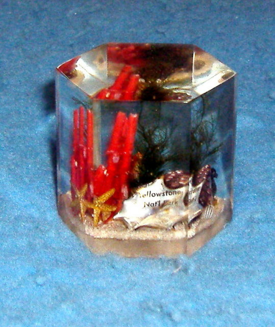 Paper Weight - Yellowstone Natl Park