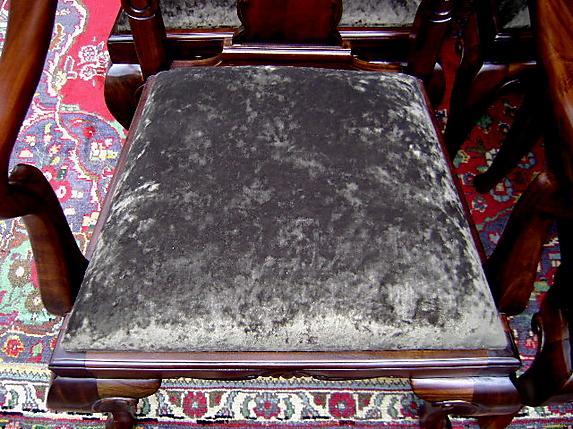 High End SETof TWELVE 10+2 Queen Anne chairs
