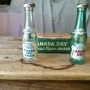 Canada Dry Salt and Pepper Shaker