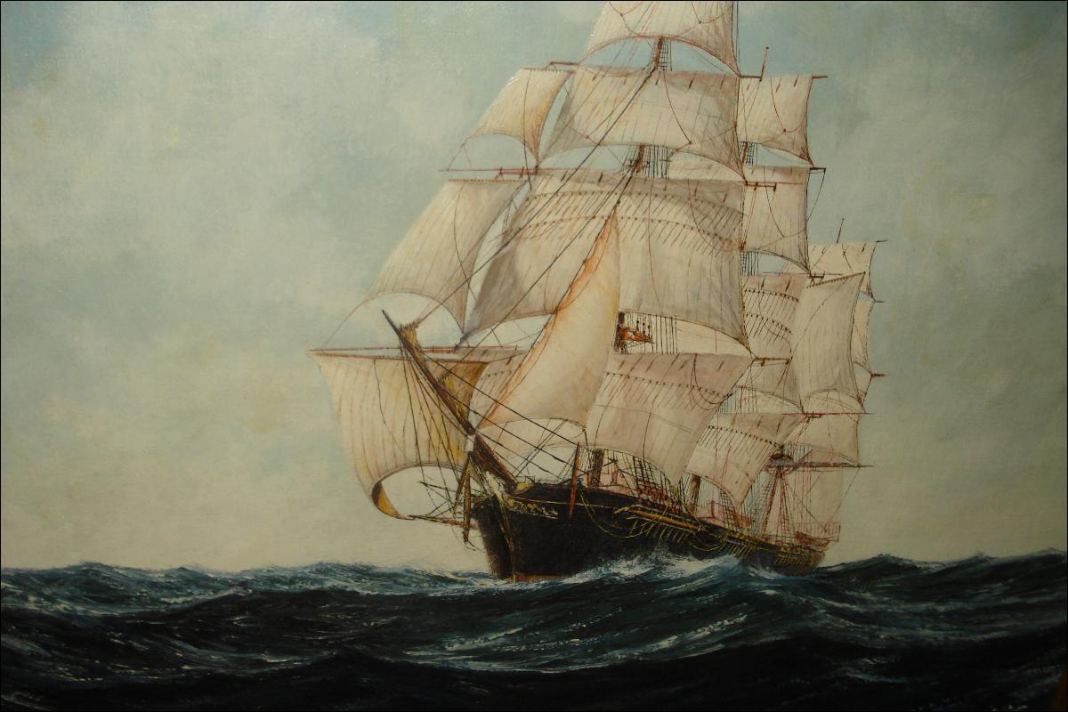 Oil On Board Signed