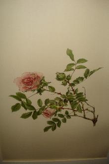 Early Twentieth Century Chromolithographs (Five),