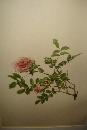 Early Twentieth Century Chromolithographs (Five),