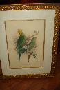 Pair Of Early Twentieth Century Lithographs,