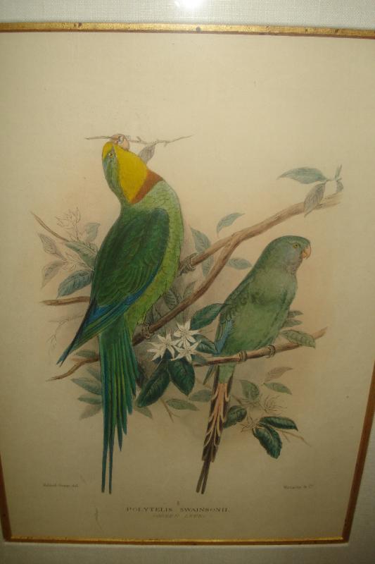 Pair Of Early Twentieth Century Lithographs,