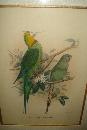 Pair Of Early Twentieth Century Lithographs,