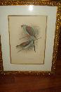 Pair Of Early Twentieth Century Lithographs,