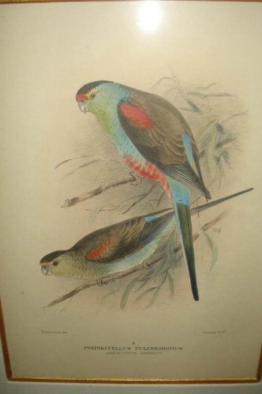 Pair Of Early Twentieth Century Lithographs,