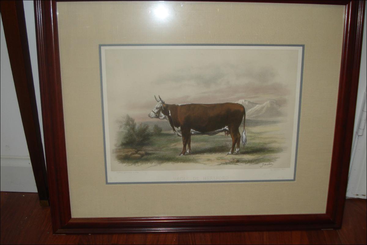 Nineteenth Century Hand Colored Copperplate Engraving by M. Emile Baudement,