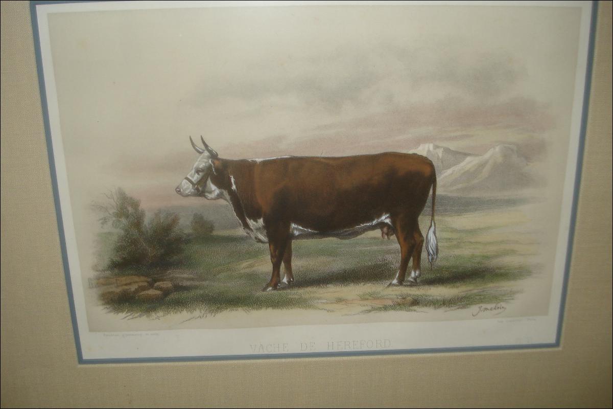 Nineteenth Century Hand Colored Copperplate Engraving by M. Emile Baudement,