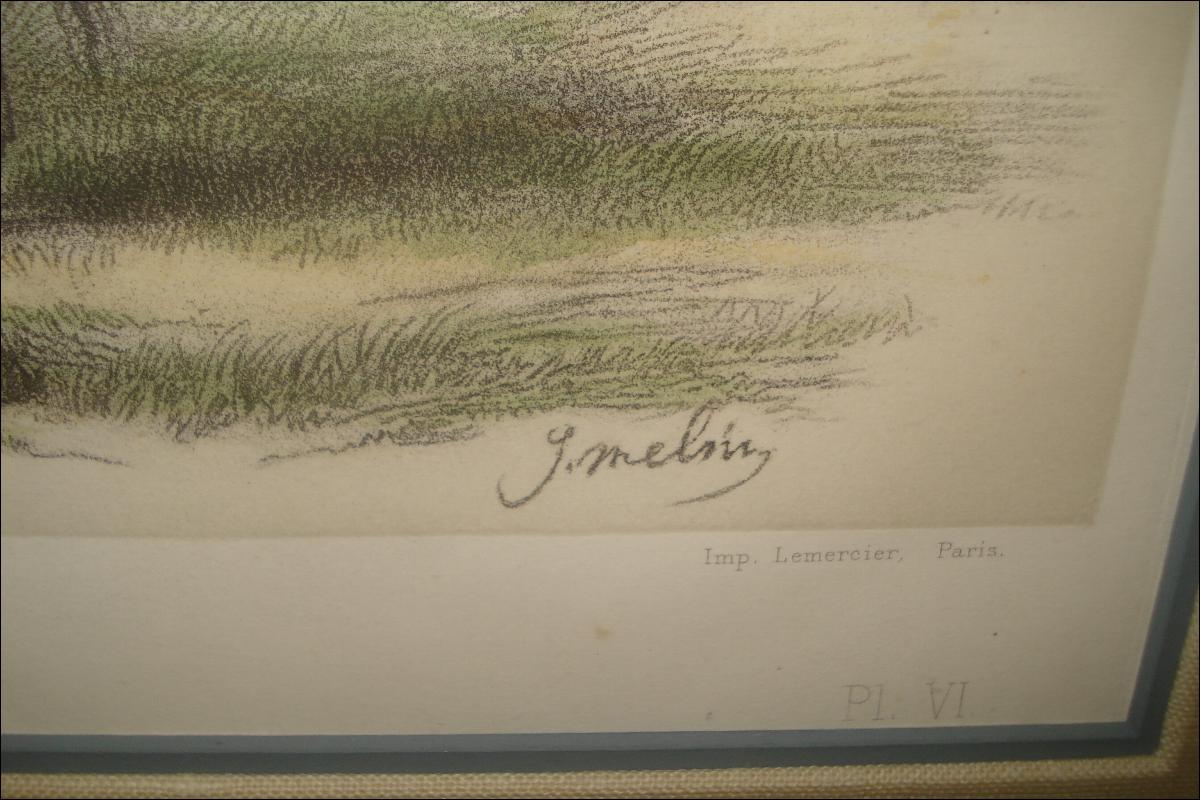 Nineteenth Century Hand Colored Copperplate Engraving by M. Emile Baudement,