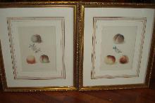 Pair Of Original Early Nineteenth Century Mezotint Engravings By George Brookshaw,