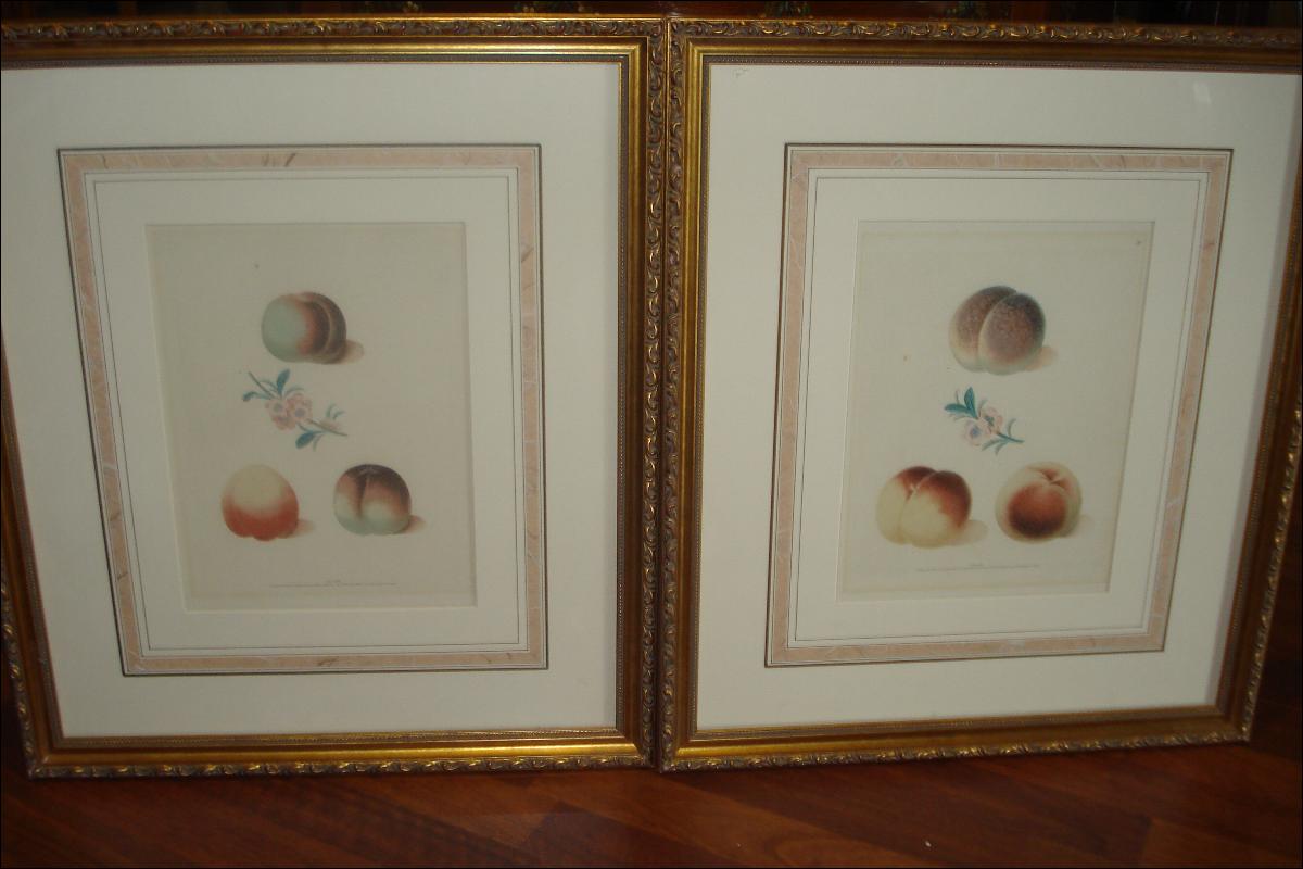Pair Of Original Early Nineteenth Century Mezotint Engravings By George Brookshaw,