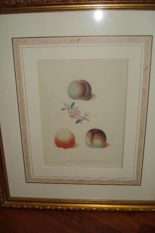 Pair Of Original Early Nineteenth Century Mezotint Engravings By George Brookshaw,