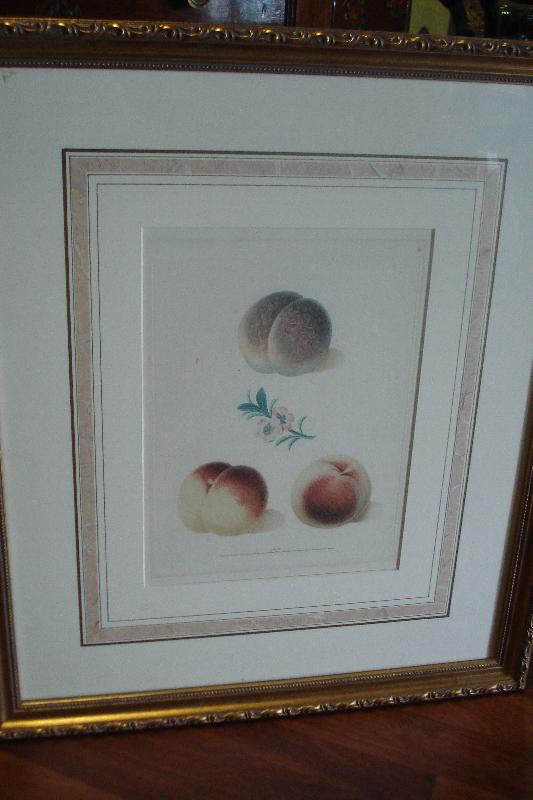 Pair Of Original Early Nineteenth Century Mezotint Engravings By George Brookshaw,