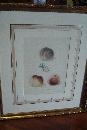 Pair Of Original Early Nineteenth Century Mezotint Engravings By George Brookshaw,