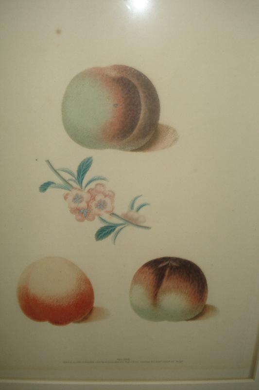 Pair Of Original Early Nineteenth Century Mezotint Engravings By George Brookshaw,