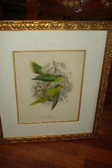 Original Nineteenth Century Hand Colored Lithograph By Kuelemanns,