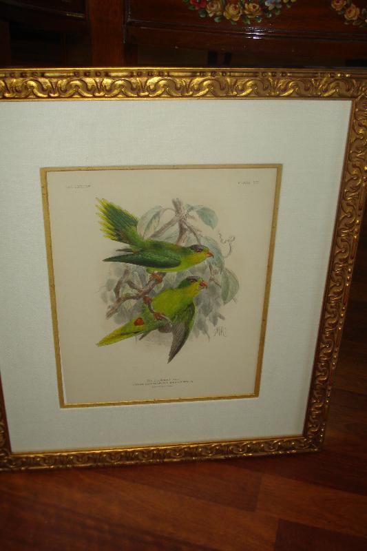 Original Nineteenth Century Hand Colored Lithograph By Kuelemanns,