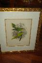 Original Nineteenth Century Hand Colored Lithograph By Kuelemanns,