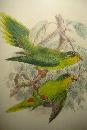 Original Nineteenth Century Hand Colored Lithograph By Kuelemanns,