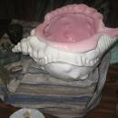 SEA SHELL BOWL BY RAN GHAINES