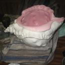 SEA SHELL BOWL BY RAN GHAINES