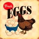 Country Fresh Eggs Metal Sign / FREE SHIPPING