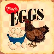 FRESH EGGS FARM SIGN -- FREE SHIPPING