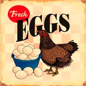 FRESH EGGS FARM SIGN -- FREE SHIPPING