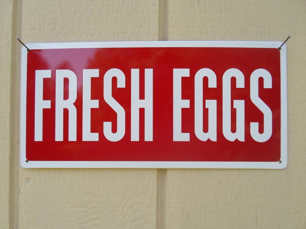 Country Fresh Eggs Metal Sign / FREE SHIPPING