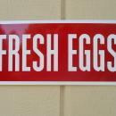 Country Fresh Eggs Metal Sign / FREE SHIPPING