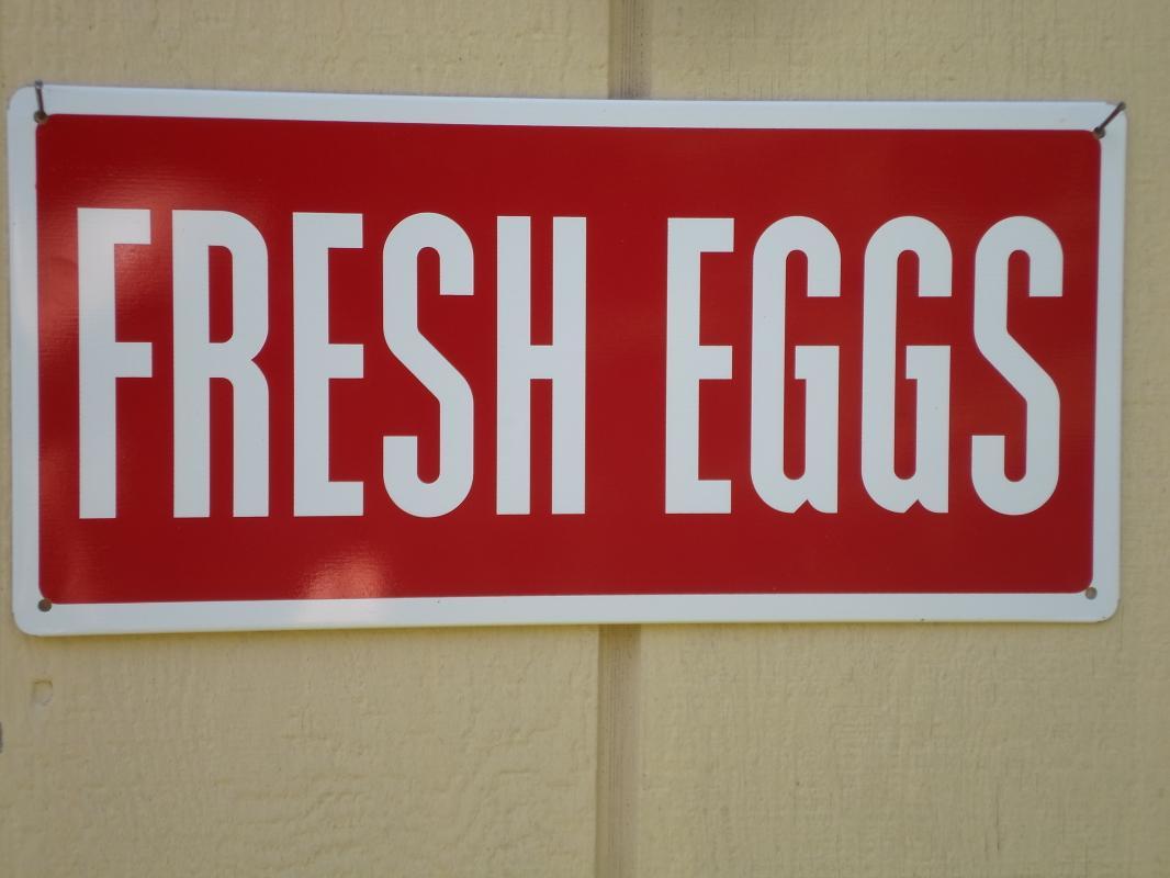 Country Fresh Eggs Metal Sign / FREE SHIPPING
