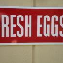 Country Fresh Eggs Metal Sign / FREE SHIPPING