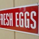 Country Fresh Eggs Metal Sign / FREE SHIPPING