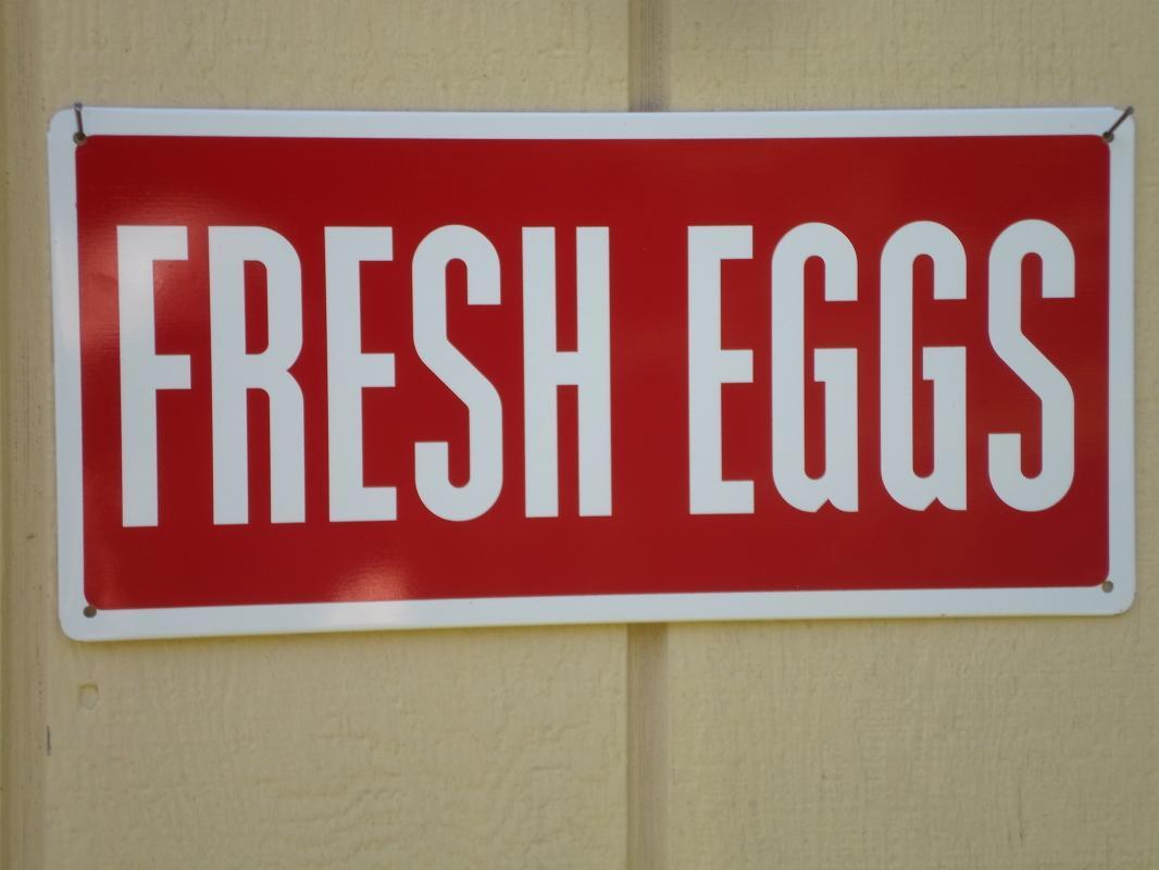 Lot of ( 3 ) Farm Country Fresh Egg Metal Signs
