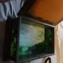 Impressive Tiffany Studios LCT Green Favrile Glass Grapevine Cigar Box