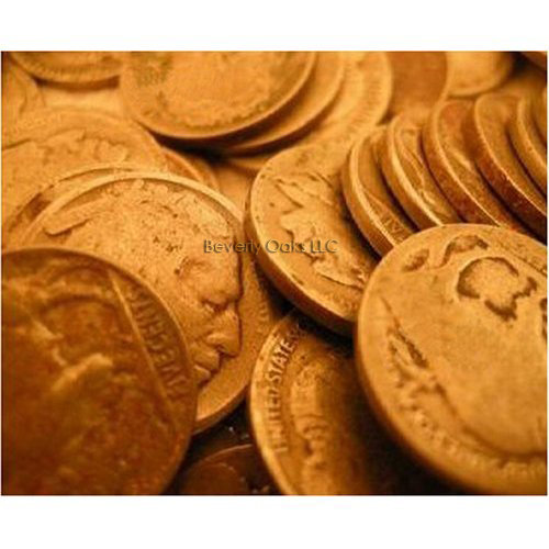 4 Buffalo Indian Head Nickels - Dug Filler Coins